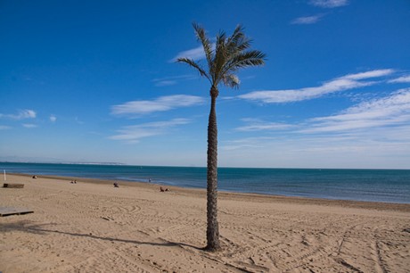 Guardamar del Segura